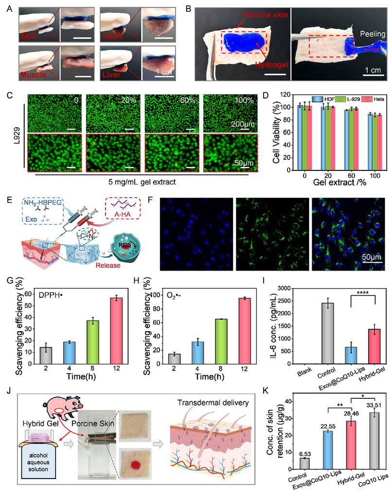Hydrogel performance characterization