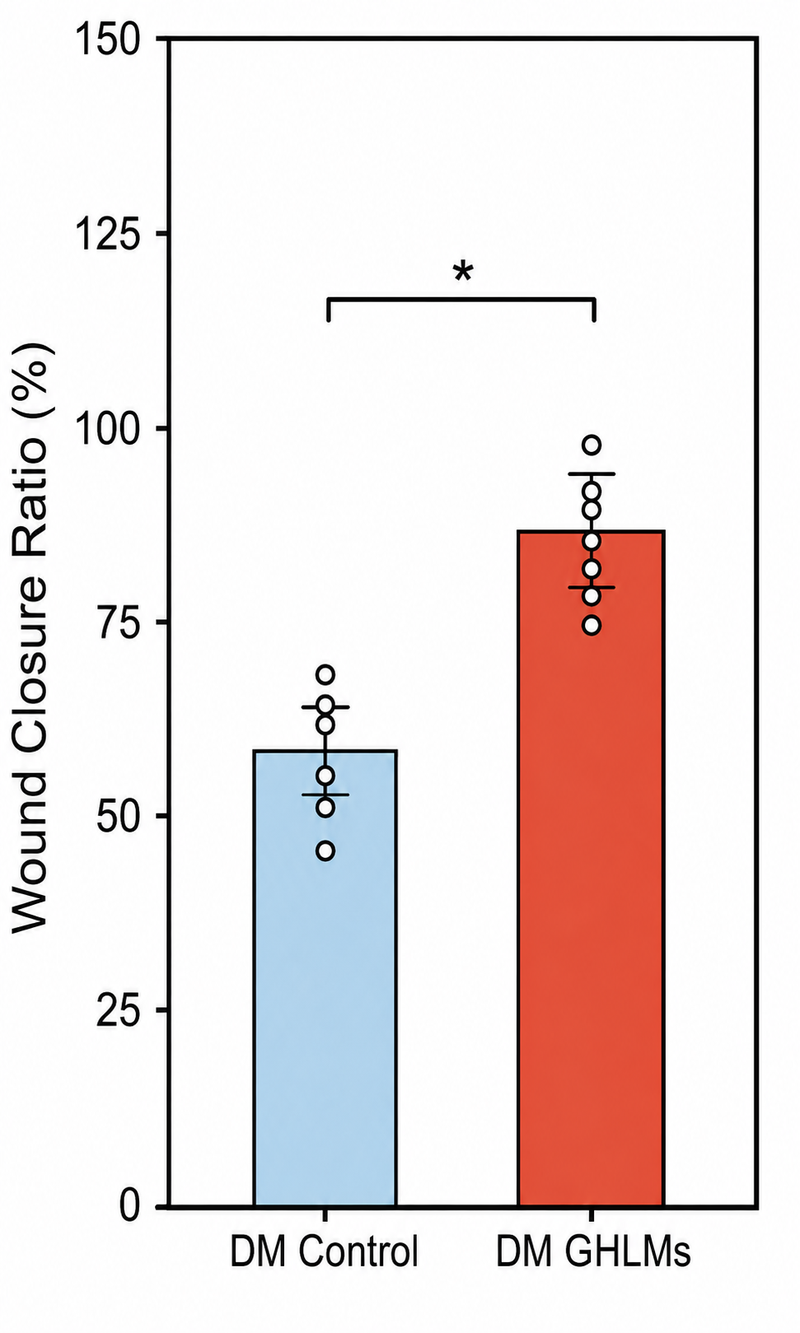 Wound closure quantification