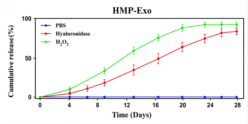 28-day release kinetics