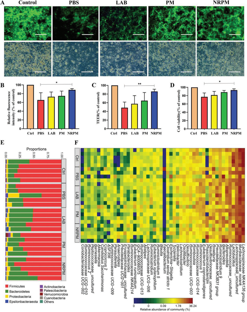 Intestinal barrier and microbiota